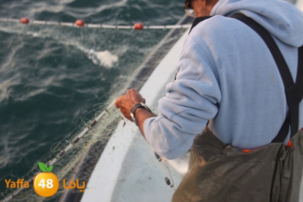 sayyadnewyaffa3 (50).JPG